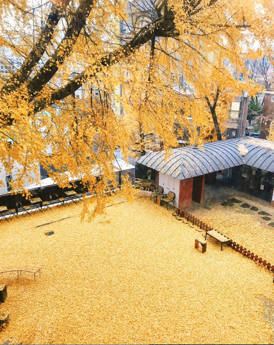 음식점 네이버 리뷰이미지