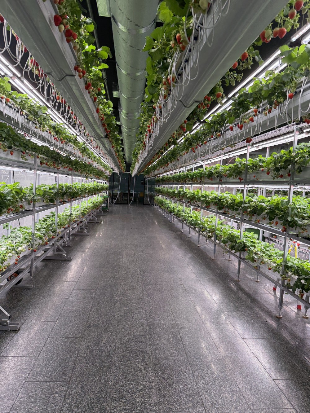 음식점 블로그이미지