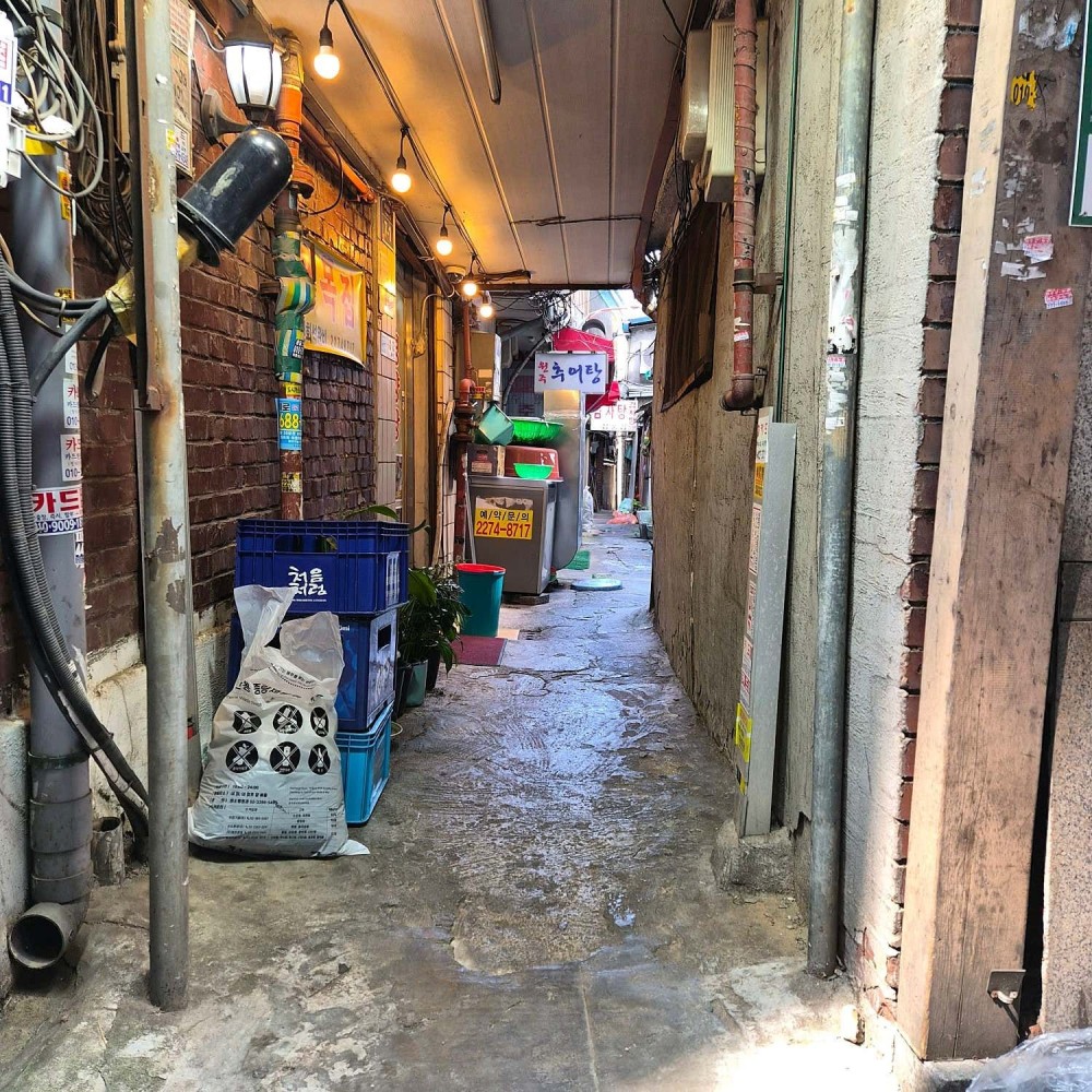 음식점 영수증이미지