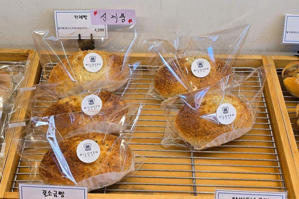 음식점 영수증이미지