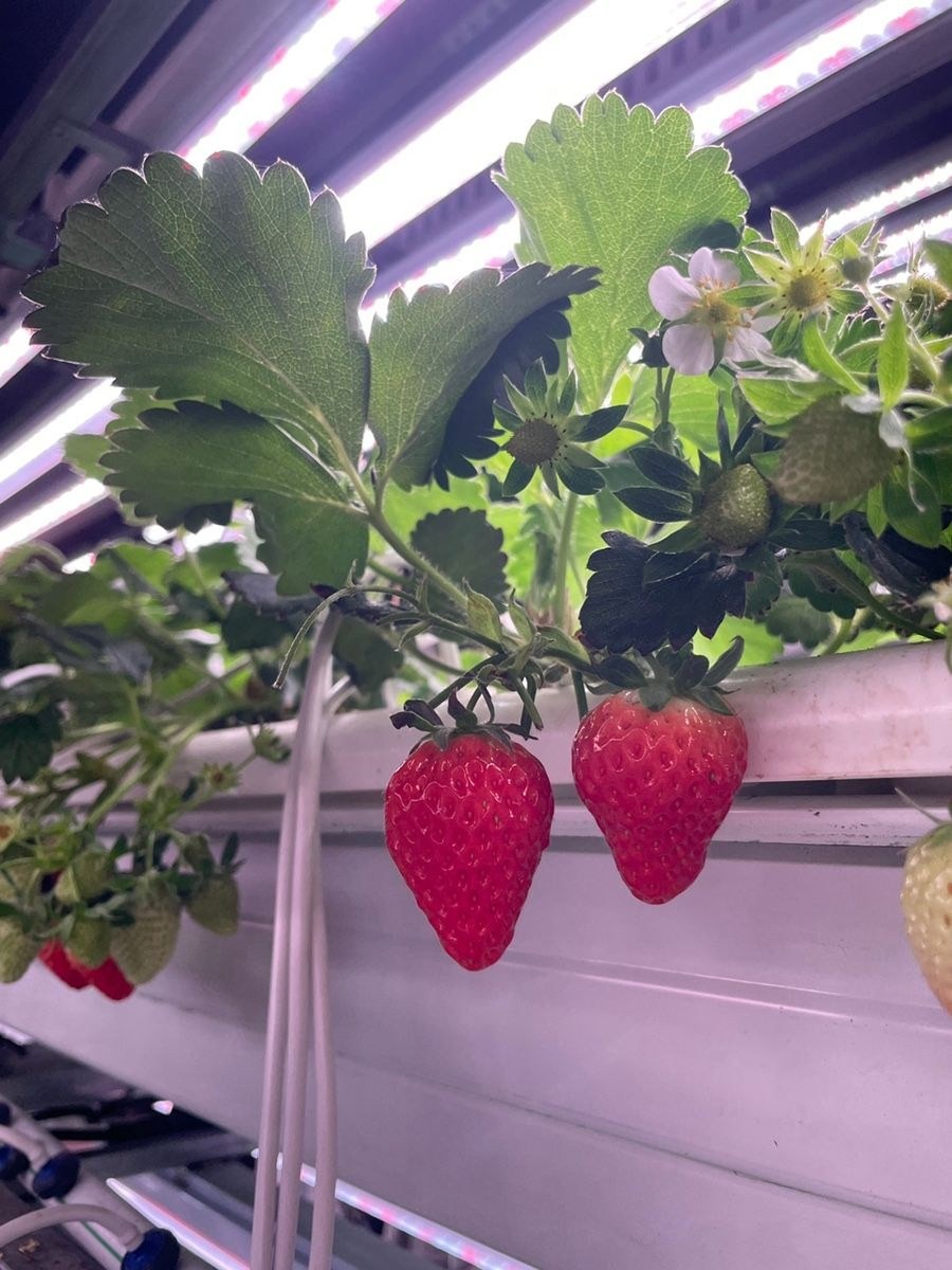 음식점 블로그이미지