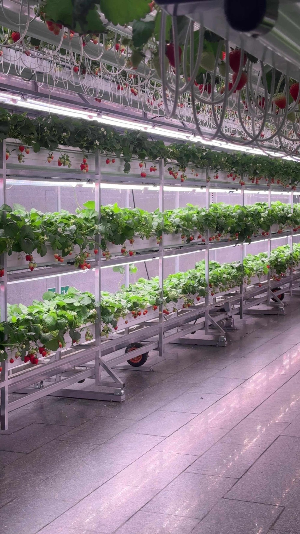 음식점 블로그이미지