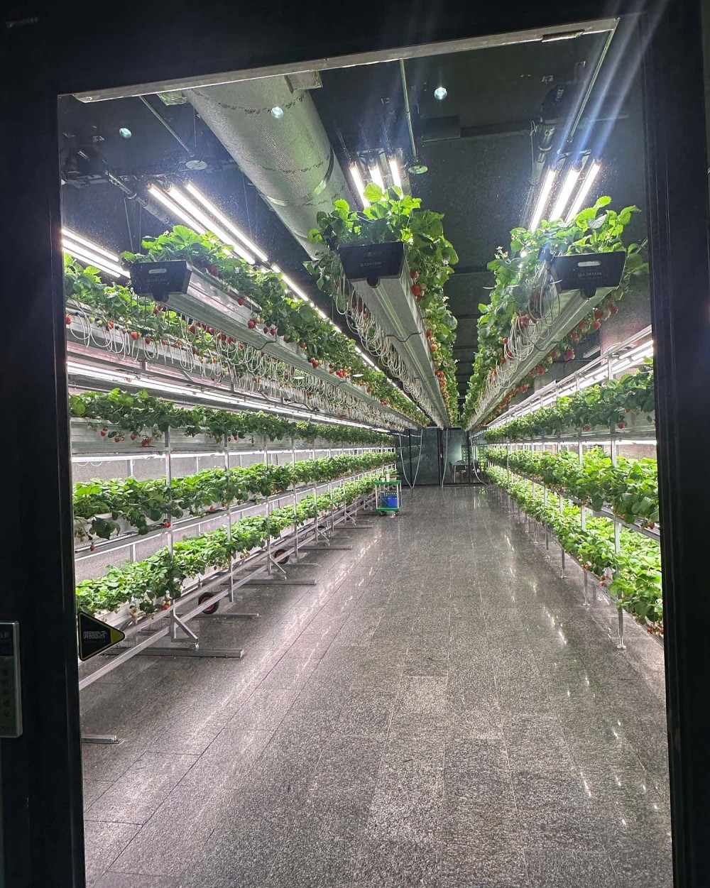 음식점 예약이미지